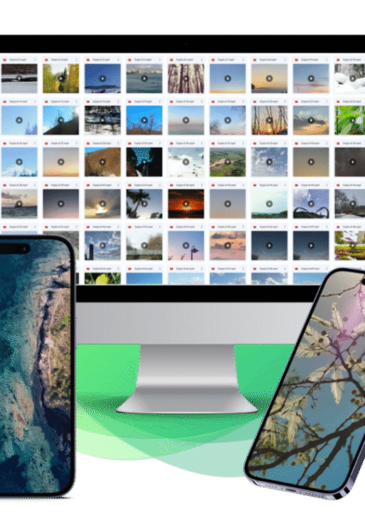 Nature Viral Videos