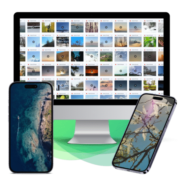 nature-vids1